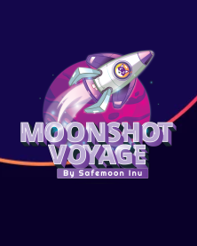 Moonshot Voyage Artwork